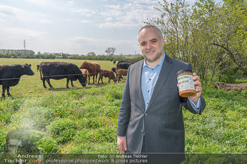 PK ´Die Natur schmecken´ - Seehof, Donnerskirchen - Mi 21.04.2021 - Matthias GRÜN mit Angus Rindern40