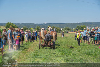 Biofeldtage Tag 2 - Seehof, Donnerskirchen - Sa 07.08.2021 -  22