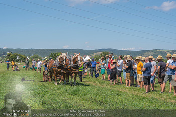 Biofeldtage Tag 2 - Seehof, Donnerskirchen - Sa 07.08.2021 -  24