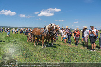 Biofeldtage Tag 2 - Seehof, Donnerskirchen - Sa 07.08.2021 -  26