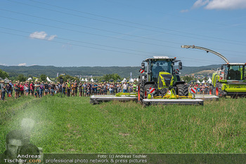 Biofeldtage Tag 2 - Seehof, Donnerskirchen - Sa 07.08.2021 -  43