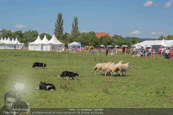 Biofeldtage Tag 2 - Seehof, Donnerskirchen - Sa 07.08.2021 -  93