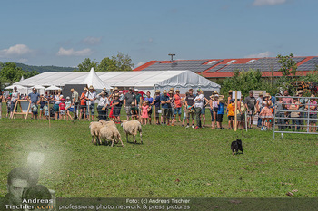 Biofeldtage Tag 2 - Seehof, Donnerskirchen - Sa 07.08.2021 -  94