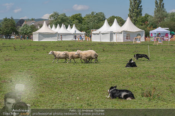 Biofeldtage Tag 2 - Seehof, Donnerskirchen - Sa 07.08.2021 -  95