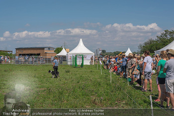 Biofeldtage Tag 2 - Seehof, Donnerskirchen - Sa 07.08.2021 -  97