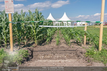 Biofeldtage Tag 2 - Seehof, Donnerskirchen - Sa 07.08.2021 -  161
