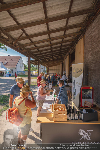 Biofeldtage Tag 2 - Seehof, Donnerskirchen - Sa 07.08.2021 -  270