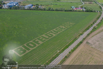 Biofeldtage Tag 2 - Seehof, Donnerskirchen - Sa 07.08.2021 - Schriftzug Biofeldtage 2021 in Feld gemäht von oben, Luftbild, 320