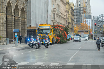 Christbaum Aufstellen - Rathausplatz, Wien - Mi 03.11.2021 - 11