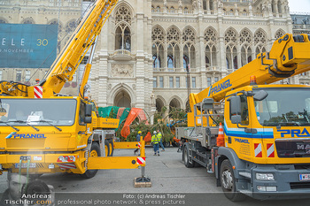 Christbaum Aufstellen - Rathausplatz, Wien - Mi 03.11.2021 - 41