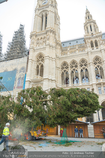 Christbaum Aufstellen - Rathausplatz, Wien - Mi 03.11.2021 - 47