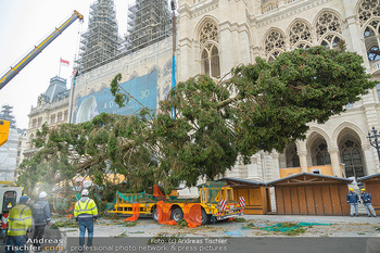 Christbaum Aufstellen - Rathausplatz, Wien - Mi 03.11.2021 - 48