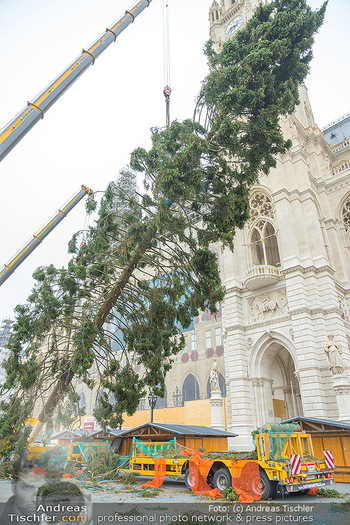 Christbaum Aufstellen - Rathausplatz, Wien - Mi 03.11.2021 - 50