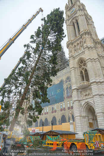 Christbaum Aufstellen - Rathausplatz, Wien - Mi 03.11.2021 - Aufstellen Christbaum mit Kran vor Wiener Rathaus51
