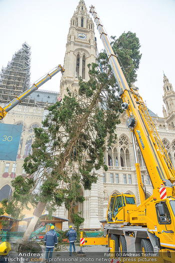 Christbaum Aufstellen - Rathausplatz, Wien - Mi 03.11.2021 - 52