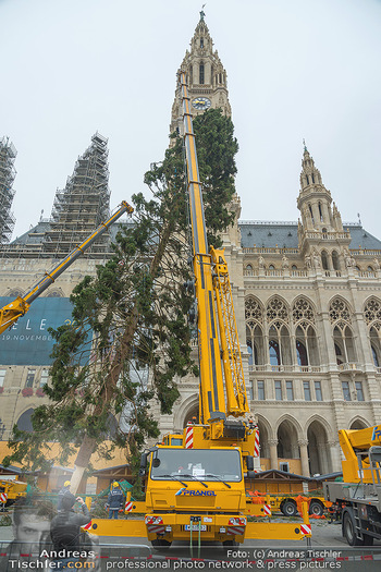 Christbaum Aufstellen - Rathausplatz, Wien - Mi 03.11.2021 - 53