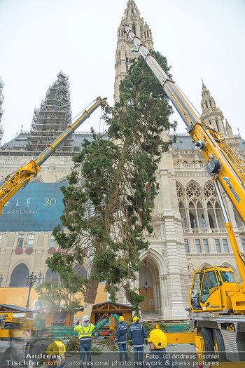 Christbaum Aufstellen - Rathausplatz, Wien - Mi 03.11.2021 - 54