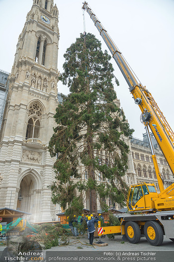 Christbaum Aufstellen - Rathausplatz, Wien - Mi 03.11.2021 - Aufstellen Christbaum mit Kran vor Wiener Rathaus58
