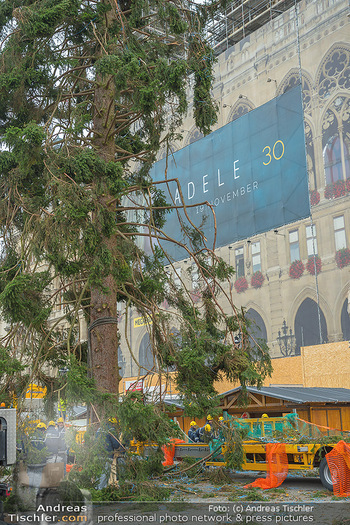 Christbaum Aufstellen - Rathausplatz, Wien - Mi 03.11.2021 - 59