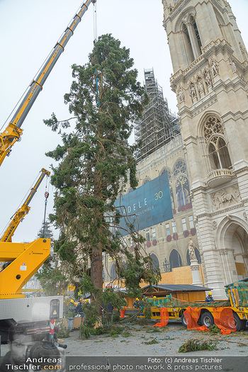 Christbaum Aufstellen - Rathausplatz, Wien - Mi 03.11.2021 - Aufstellen Christbaum mit Kran vor Wiener Rathaus60