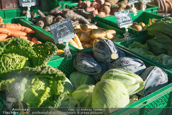 Hofmarkt Tag 1 - Seehof, Donnerskirchen - Sa 20.11.2021 - 45
