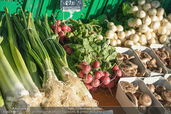 Hofmarkt Tag 1 - Seehof, Donnerskirchen - Sa 20.11.2021 - 75
