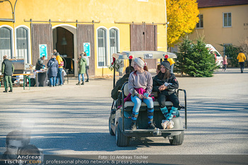 Hofmarkt Tag 1 - Seehof, Donnerskirchen - Sa 20.11.2021 - 148