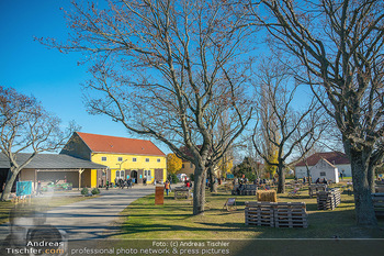 Hofmarkt Tag 1 - Seehof, Donnerskirchen - Sa 20.11.2021 - 153