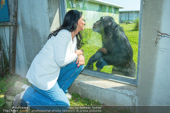 Sonja Klima 60er - Gut Aiderbichl Affenrefugium - Sa 27.05.2023 - Sonja KLIMA mit Schimpansen Blacky1