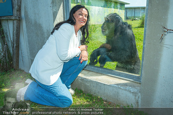 Sonja Klima 60er - Gut Aiderbichl Affenrefugium - Sa 27.05.2023 - Sonja KLIMA mit Schimpansen Blacky34