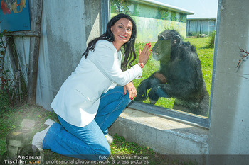 Sonja Klima 60er - Gut Aiderbichl Affenrefugium - Sa 27.05.2023 - Sonja KLIMA mit Schimpansen Blacky35