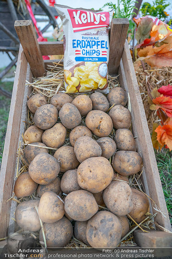 Kelly´s frische Ernte-Dankfest - Kelly´s Firmenzentrale, Wien - Mi 20.09.2023 - Kelly´s Kartoffelchips, Chips, Erdäpfel in Steige, Kartoffel, 263