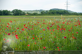 Biofeldtage Tag 2 - Seehof Donnerskirchen, Burgenland - Sa 25.05.2024 - 85