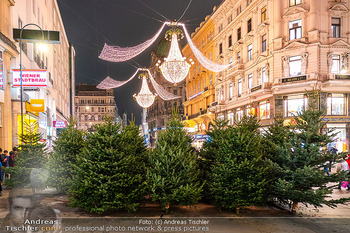 Themenfotos Weihnachtsshopping - Erster Bezirk, Wien - Do 12.12.2024 - Christbaumverkauf am Graben, Christbäume, Christbaumverkäufer12