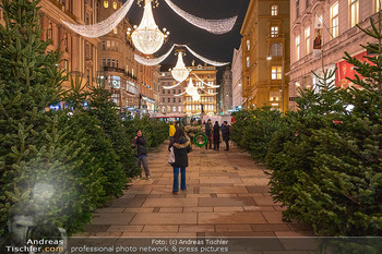 Themenfotos Weihnachtsshopping - Erster Bezirk, Wien - Do 12.12.2024 - Christbaumverkauf am Graben, Christbäume, Christbaumverkäufer15