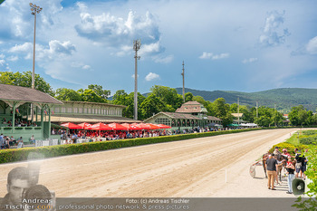 Promi Trabrennen - Trabrennbahn Baden - So 01.06.2025 - Trabrennbahn Baden, Tribüne, Rennbahn, Pferderennen17