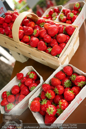 Schanigarten Opening - Schönbrunner Stöckl, Wien - Mo 16.06.2025 - frische Erdbeeren, feature, Erdbeerernte, Erdbeersteige, Obst, B9
