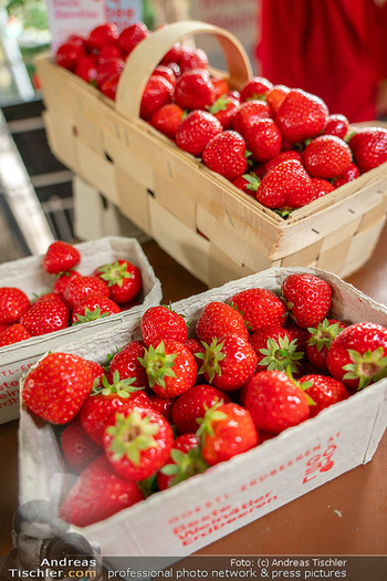 Schanigarten Opening - Schönbrunner Stöckl, Wien - Mo 16.06.2025 - frische Erdbeeren, feature, Erdbeerernte, Erdbeersteige, Obst, B10