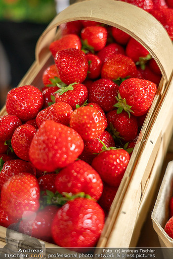 Schanigarten Opening - Schönbrunner Stöckl, Wien - Mo 16.06.2025 - frische Erdbeeren, feature, Erdbeerernte, Erdbeersteige, Obst, B12