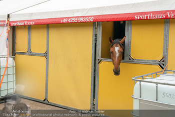 Longines global champions tour Opening - Schloss Schönbrunn, Wien - Fr 26.09.2025 - Pferd schaut aus Stallfenster, Stallungen127