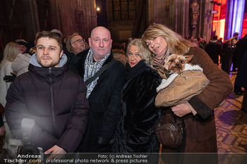 Kunstwerk Illuminierung - Votivkirche, Wien - Di 16.12.2025 - 5