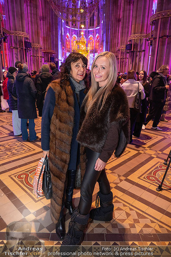 Kunstwerk Illuminierung - Votivkirche, Wien - Di 16.12.2025 - 6