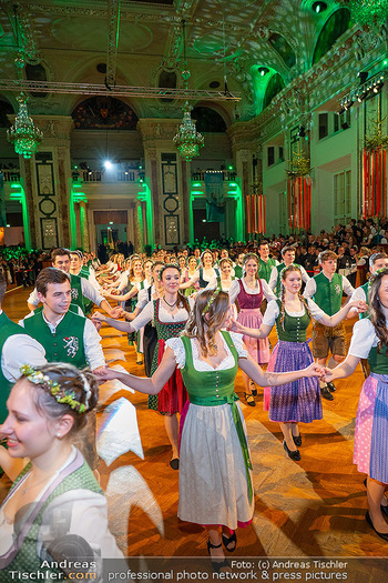 Steirerball - Hofburg, Wien - Fr 09.01.2026 - Eröffnung, Tanzpaare, Debütanten, Debütantinnen, Ball, Tanzen74