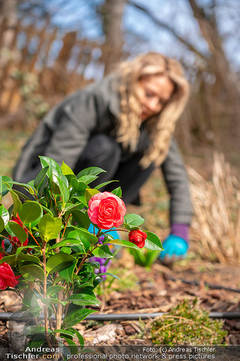 Frühling bei Simone Lugner - Lugner Villa, Wien - Mo 02.03.2026 - Simone LUGNER25