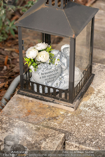 Frühling bei Simone Lugner - Lugner Villa, Wien - Mo 02.03.2026 - Gedenken an Richard Lugner (Laterne, Stein, Gedenkstein)45