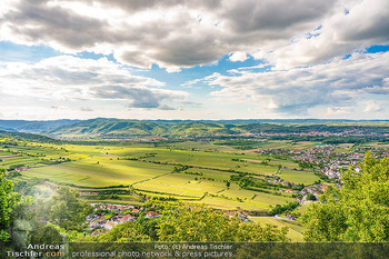 Weinverkostung - Stiftsrestaurant Göttweig, NÖ - Do 21.05.2026 - Blick über die Wachau Richtung Krems, Weinberge, Landschaft, Pa166