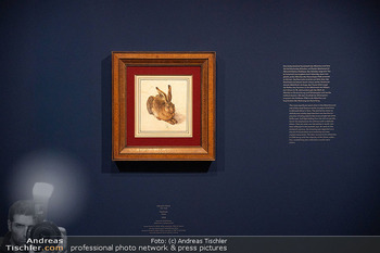 Ausstellungseröffnung ´Sammeln für die Zukunft´ - Albertina, Wien - Do 18.06.2026 - Kunstwerk Feldhase Dürerhase Gemälde Zeichnung Albrecht Dürer6