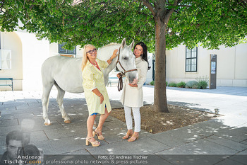 Models und Pferde - Schloss Schönbrunn, Wien - Di 11.08.2026 - Sonja KLIMA, Uschi FELLNER mit Pferd (Lipizzaner, Schimmel)31