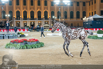 LGCT - Schloss Schönbrunn, Wien - Sa 26.09.2026 - 164