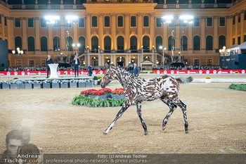 LGCT - Schloss Schönbrunn, Wien - Sa 26.09.2026 - 165